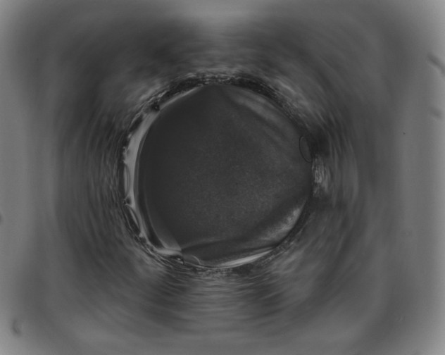 X0000097491252200803071731