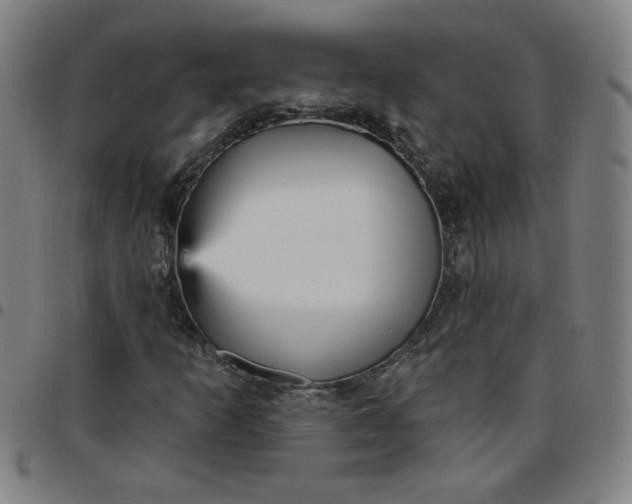 X0000097491253200803071731