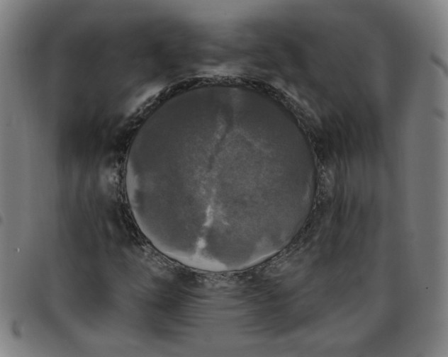 X0000097491254200803071731