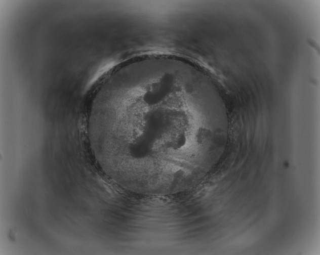 X0000097491255200803071731