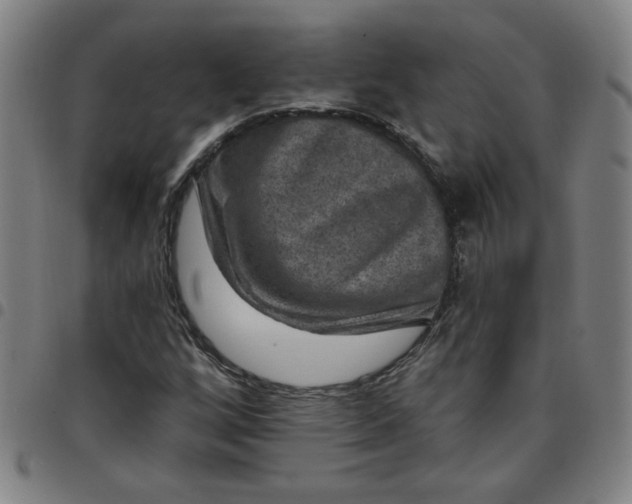 X0000097491256200803071731