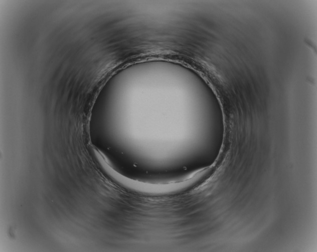 X0000097491257200803071731