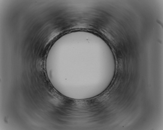 X0000097491258200803071731