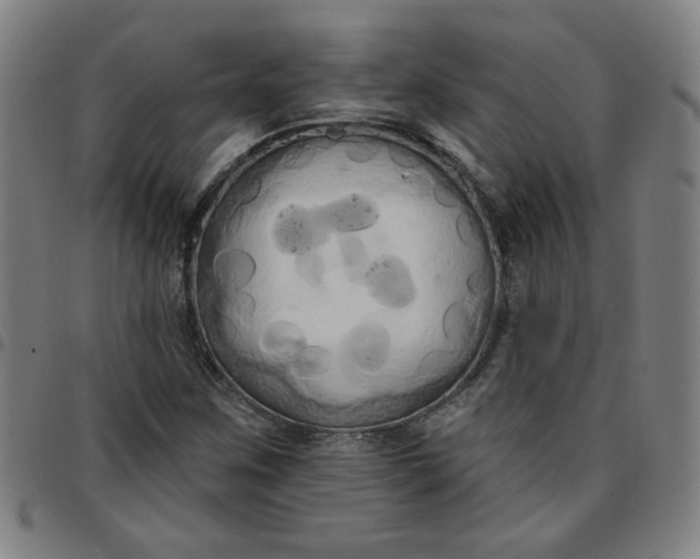 X0000097491259200803071731