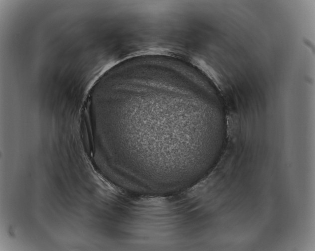 X0000097491260200803071731