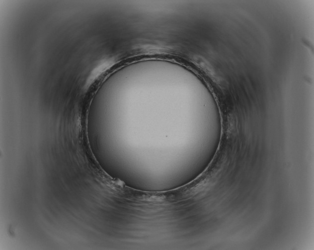 X0000097491261200803071731