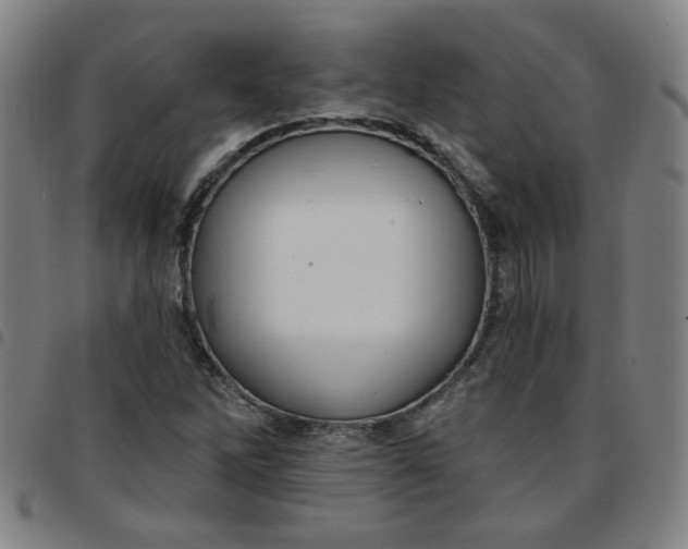 X0000097491262200803071731