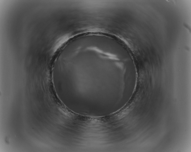 X0000097491263200803071731