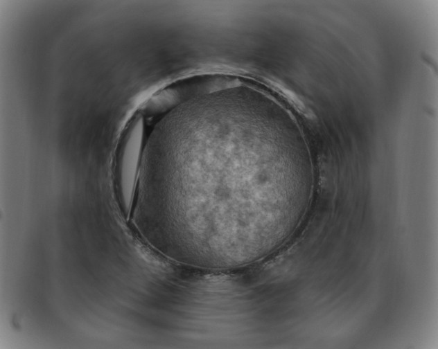 X0000097491264200803071731