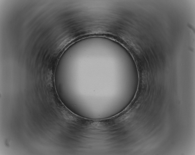 X0000097491265200803071731