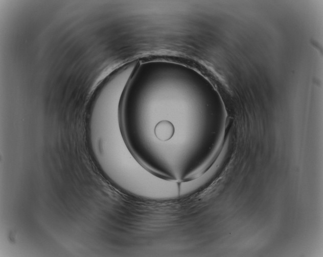 X0000097491266200803071731