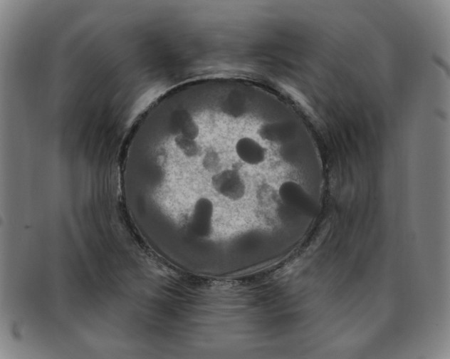 X0000097491267200803071731