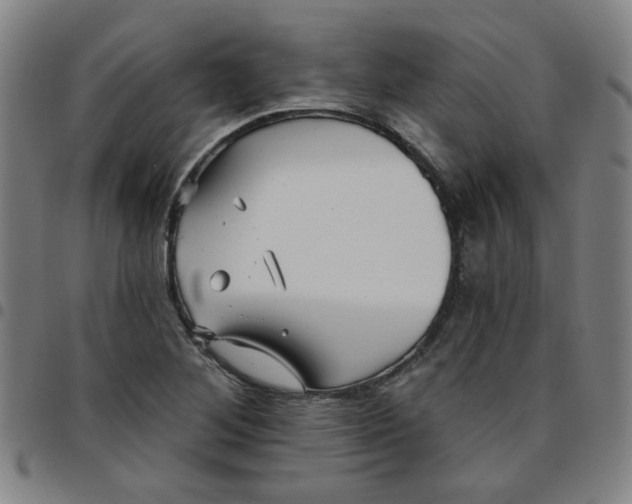 X0000097491268200803071731