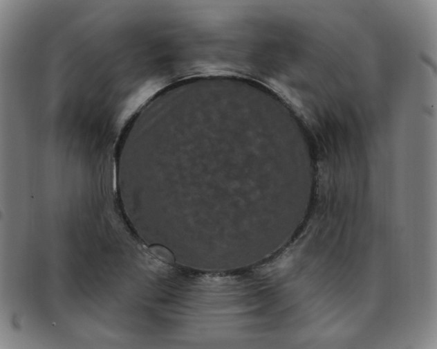 X0000097491269200803071731