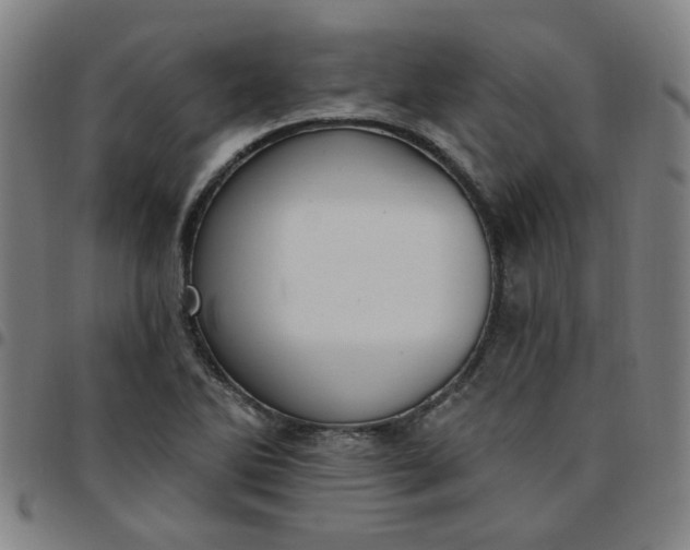 X0000097491270200803071731