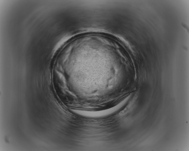 X0000097491271200803071731