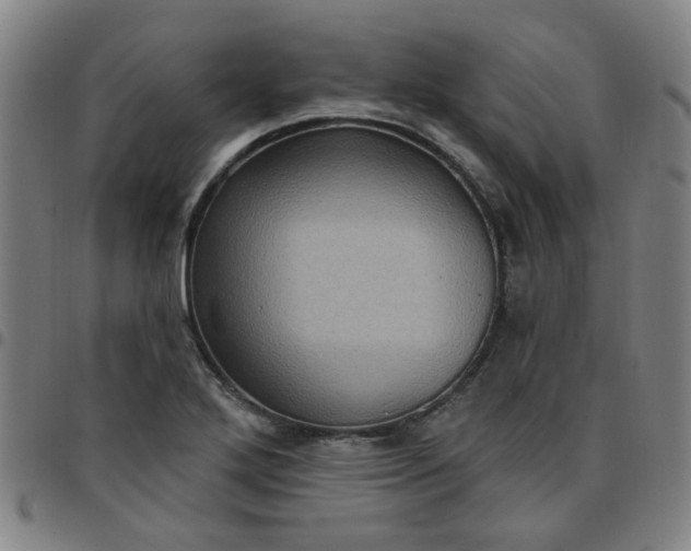 X0000097491272200803071731