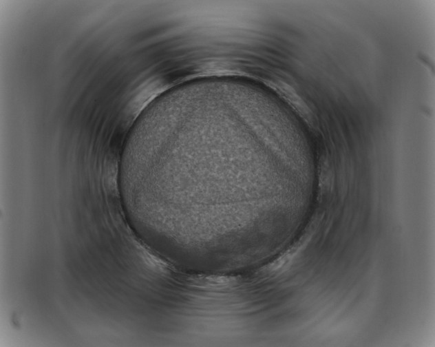 X0000097491273200803071731