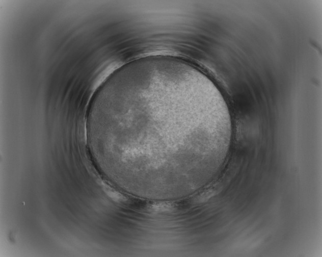 X0000097491274200803071731