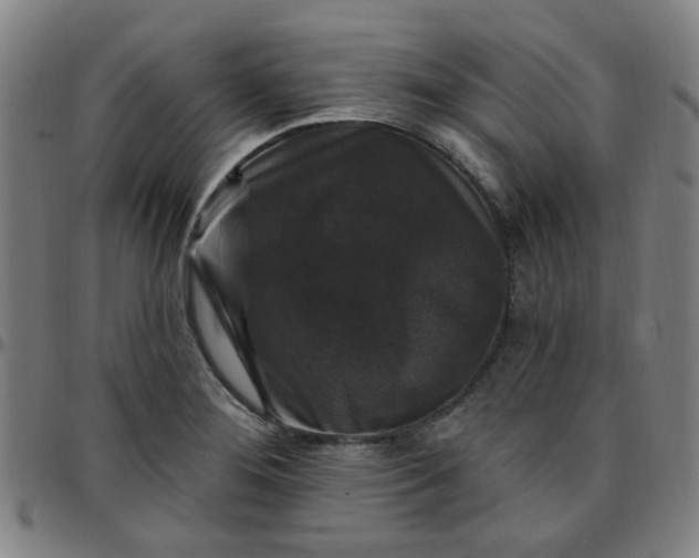 X0000097491276200803071731