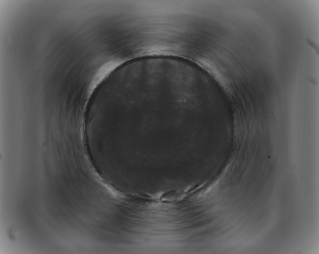 X0000097491277200803071731