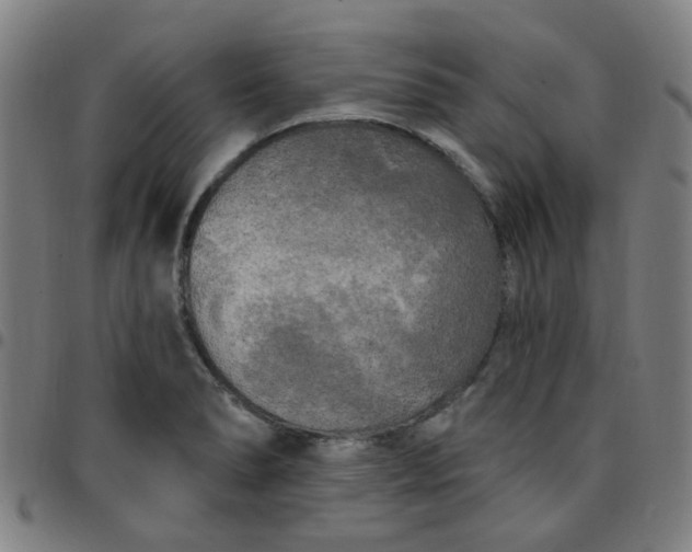 X0000097491278200803071731