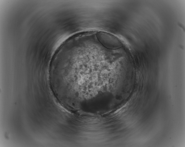 X0000097491279200803071731