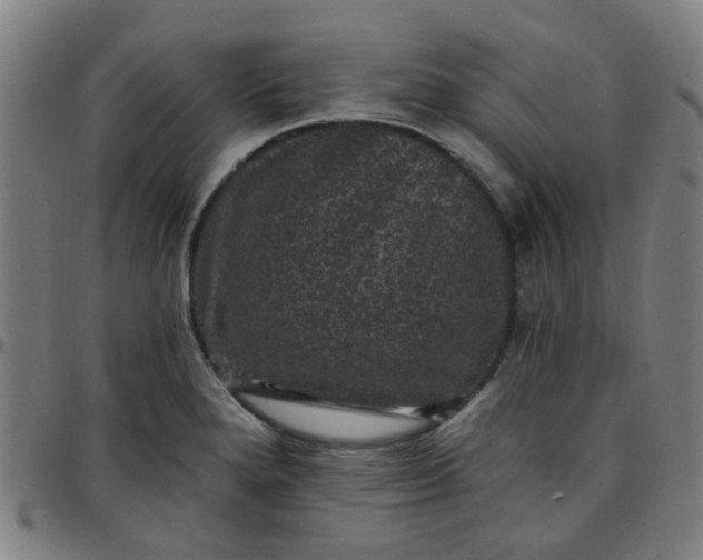 X0000097491280200803071731