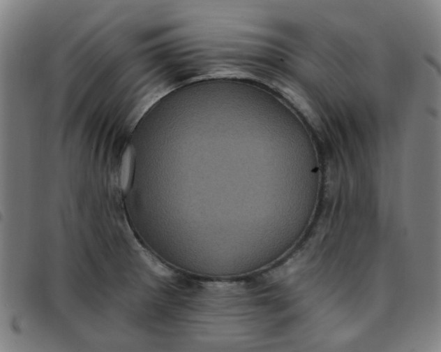 X0000097491281200803071731