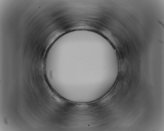 X0000097491282200803071731