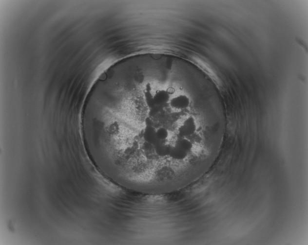 X0000097491283200803071731