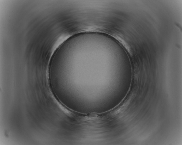 X0000097491285200803071731