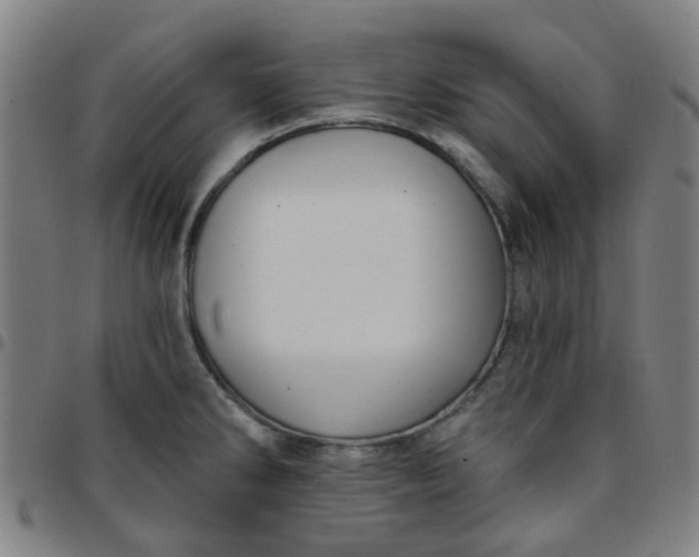 X0000097491286200803071731