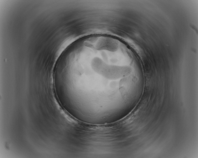 X0000097491287200803071731