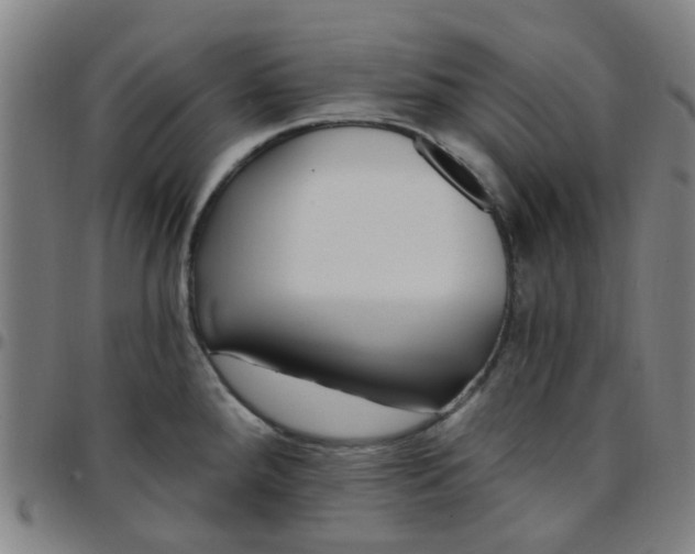 X0000097491288200803071731