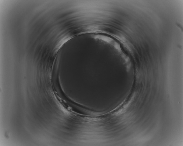 X0000097491289200803071731