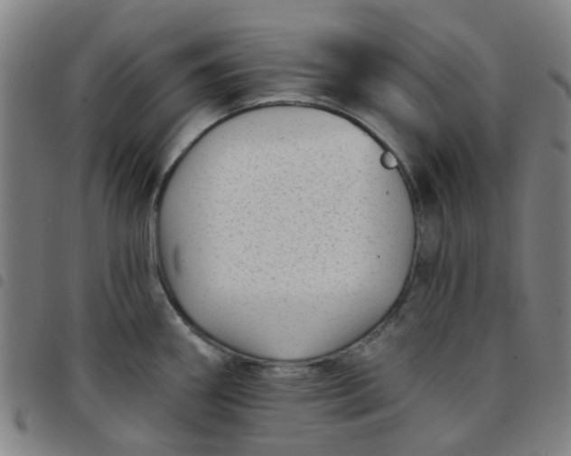 X0000097491290200803071731