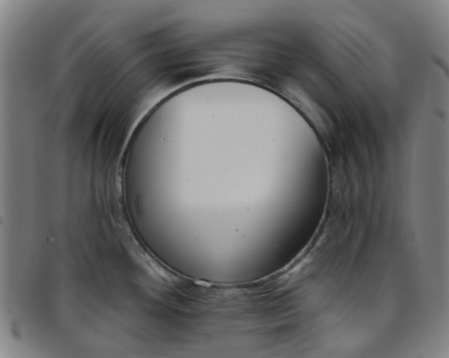 X0000097491292200803071731