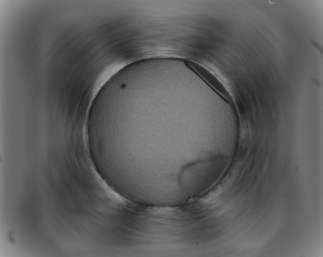 X0000097491293200803071731