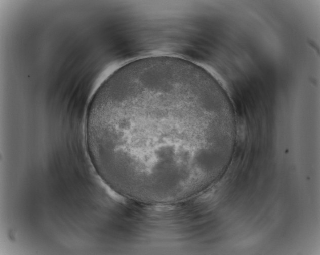 X0000097491294200803071731