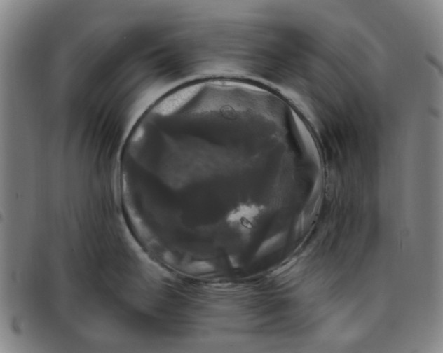 X0000097491295200803071731