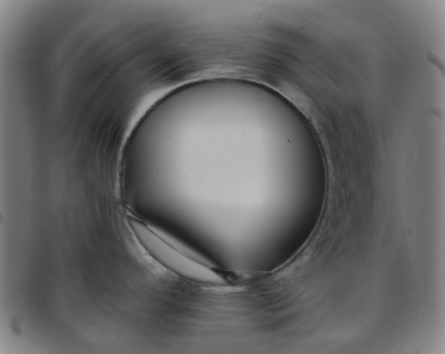 X0000097491296200803071731