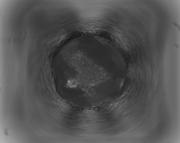 X0000097491297200803071730