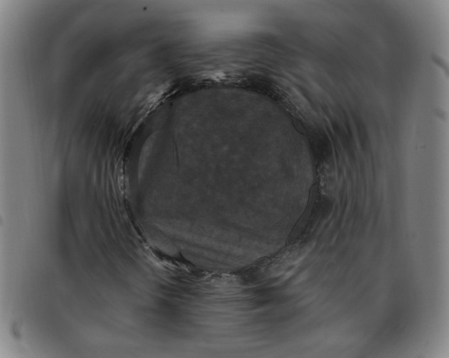 X0000097491298200803071730