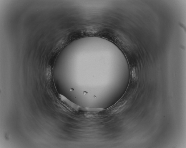 X0000097491299200803071730