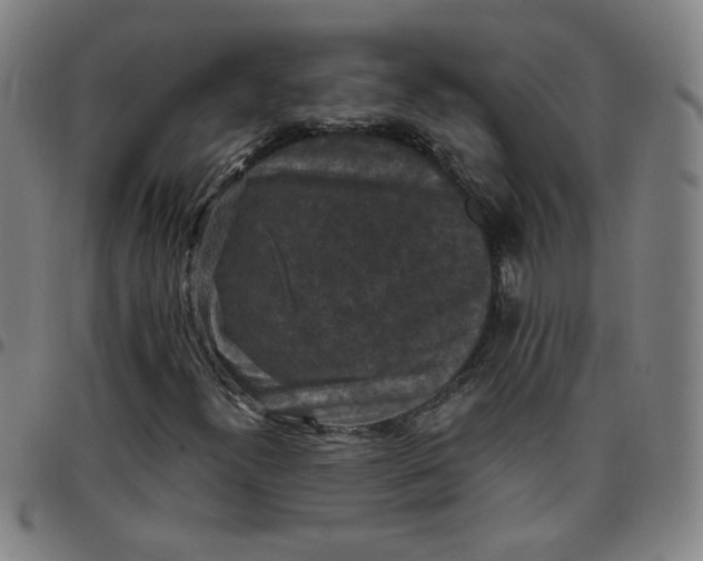 X0000097491300200803071730