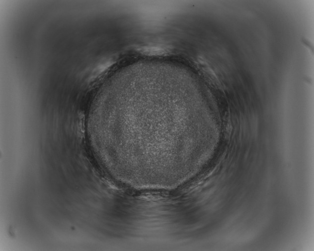 X0000097491301200803071730