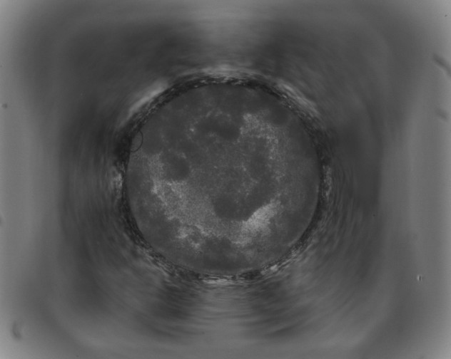 X0000097491302200803071730