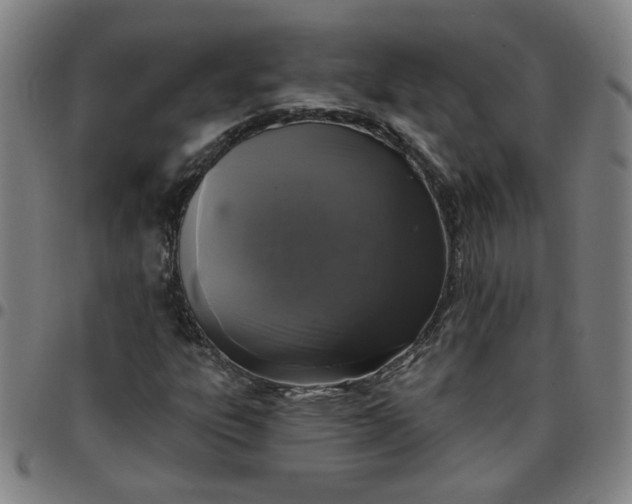 X0000097491303200803071730