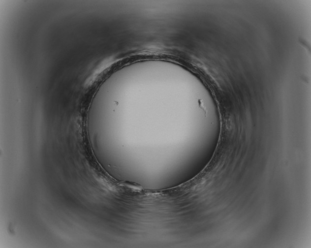 X0000097491304200803071730